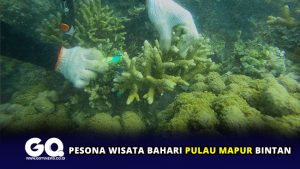 Pesona Wisata Bahari Pulau Mapur Bintan