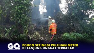 Pohon Setinggi Puluhan Meter di Tanjung Unggat Terbakar