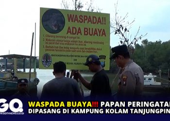Waspada Buaya, Papan Peringatan Dipasang di Kampung Kolam Tanjungpinang