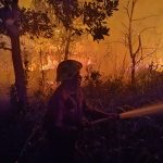 Sepanjang Tahun Ini Ada 137 Karhutla di Bintan