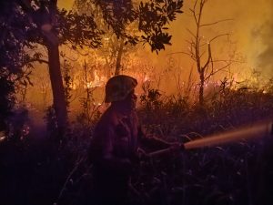 Sepanjang Tahun Ini Ada 137 Karhutla di Bintan