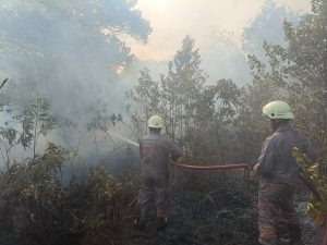 Oktober 2023, Ada 28 Kasus Kebakaran Lahan di Bintan