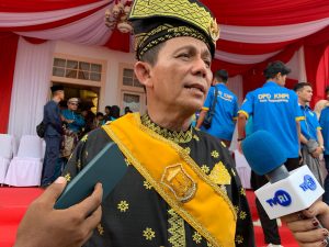 Gubernur Ansar Dorong Daerah Berikan Layanan Investasi Terbaik