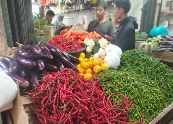 Daftar Harga Bahan Pokok Bawang dan Cabai di Tanjungpinang, Rabu 22 November 2023