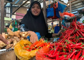 Harga Cabai Rawit Setan di Tanjungpinang Tembus Rp 94 Ribu