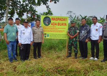Waspada Buaya di Sungai Tauca Tanjungpinang