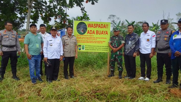 Waspada Buaya di Sungai Tauca Tanjungpinang