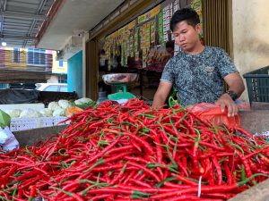 Update Harga Cabai di Tanjungpinang, Mulai Turun dan Bikin Irit Dompet