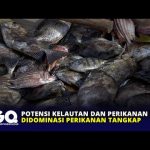 Potensi Kelautan dan Perikanan Kepri Didominasi Perikanan Tangkap