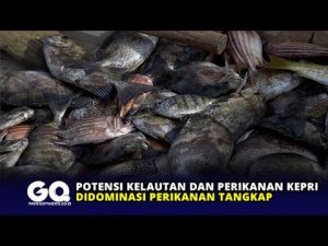 Potensi Kelautan dan Perikanan Kepri Didominasi Perikanan Tangkap