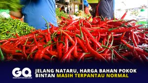 Jelang Nataru, Harga Bahan Pokok Bintan Masih Terpantau Normal