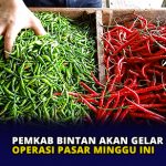 Pemkab Bintan Akan Gelar Operasi Pasar Minggu Ini