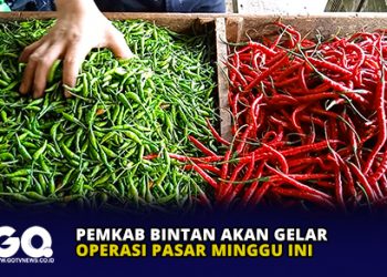 Pemkab Bintan Akan Gelar Operasi Pasar Minggu Ini