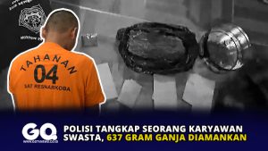 Polisi Tangkap Seorang Karyawan Swasta, 637 Gram Ganja Diamankan