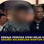 Remaja Perkosa Siswi Kelas 6 SD Gegara Kecanduan Nonton Film Porno