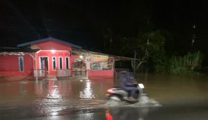 11 Pemukiman Warga di Tanjungpinang Terdampak Banjir
