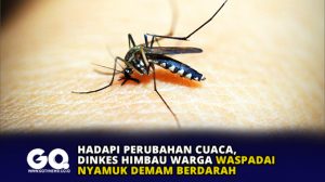 Hadapi Perubahan Cuaca, Dinkes Himbau Warga Waspadai Nyamuk Demam Berdarah