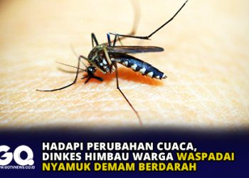 Hadapi Perubahan Cuaca, Dinkes Himbau Warga Waspadai Nyamuk Demam Berdarah