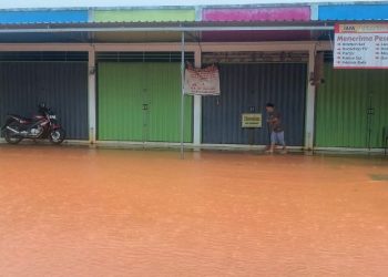 BMKG Tanjungpinang Minta Warga Pesisir Waspada Pasang Air Laut Capai 2 Meter