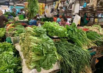 Cuaca Buruk, Harga Sayur di Tanjungpinang Naik.