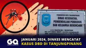 Januari 2024, Dinkes Mencatat 7 Kasus DBD di Tanjungpinang