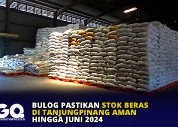 Bulog Pastikan Stok Beras di Tanjungpinang Aman Hingga Juni 2024