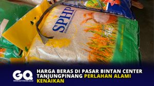 Harga Beras di Pasar Bintan Center Tanjungpinang Perlahan Alami Kenaikan