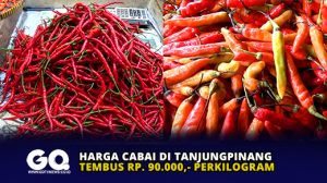 Harga Cabai di Tanjungpinang Tembus 90 Ribu Perkilogram