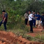 Polisi Dalami Dugaan Pencurian Hasil Hutan Berupa Kayu di Lahan PT Antam Kijang