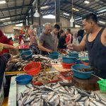 Menjelang Imlek 2024, Ikan Dingkis di Pasar Bintan Center Kosong
