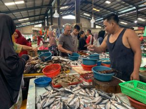 Menjelang Imlek 2024, Ikan Dingkis di Pasar Bintan Center Kosong