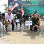 TMMD 119, Wabup Bintan Bersama Dandim 0315 Tanjungpinang dan FKPD Tanam 2.000 Bibit Mangrove