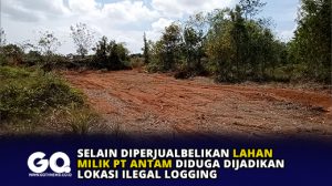 Selain Diperjualbelikan Lahan Milik PT Antam Diduga Dijadikan Lokasi Ilegal logging