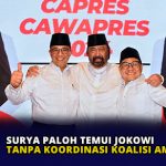 Surya Paloh Temui Jokowi Tanpa Koordinasi Koalisi AMIN