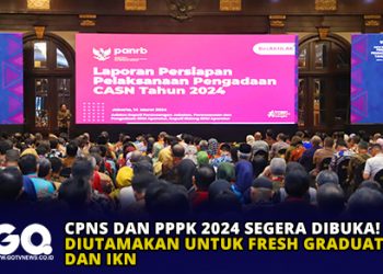 CPNS dan PPPK 2024 Segera Dibuka! Diutamakan Untuk Fresh Graduate dan IKN