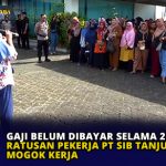 Gaji Belum Dibayar Selama 2 Bulan, Ratusan Pekerja PT SIB Tanjungpinang Mogok Kerja