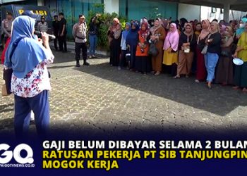 Gaji Belum Dibayar Selama 2 Bulan, Ratusan Pekerja PT SIB Tanjungpinang Mogok Kerja