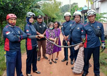 Damkar Tanjung Uban Evakuasi Ular Sepanjang 2 Meter dari Perkarangan TK.