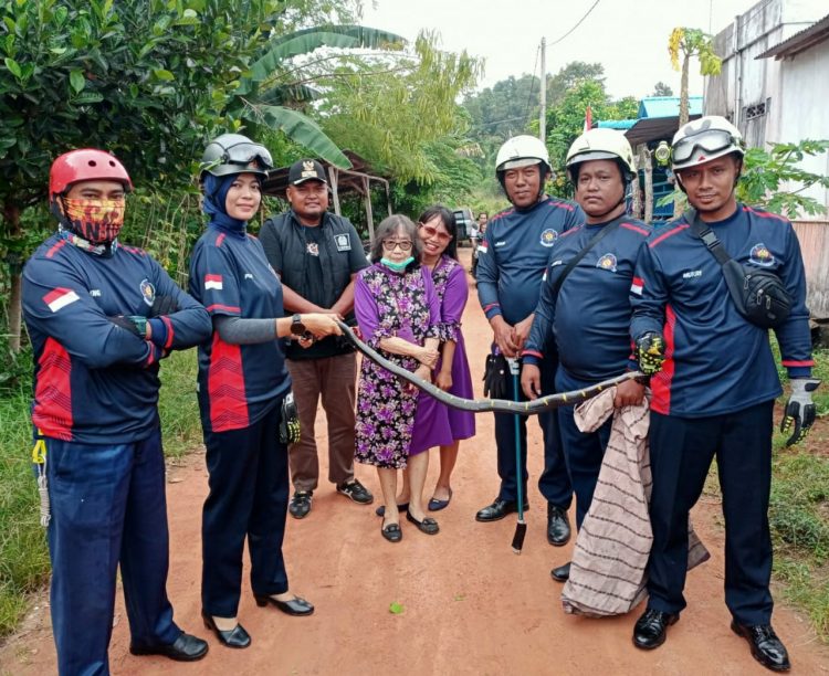 Damkar Tanjung Uban Evakuasi Ular Sepanjang 2 Meter dari Perkarangan TK.