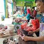 Harga Daging Ayam di Bintan Tembus Rp45 Ribu Rupiah Perkilogram