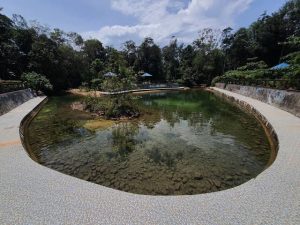 Air Terjun Lubuk Papan, Pesona Permata Tersembunyi di Daik Lingga