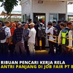 Ribuan Pencari Kerja Rela Antri Panjang di Job Fair PT BAI Bintan