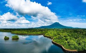 Keindahan Mangrove Pering, Daya Tarik Wisata Kepri di Natuna