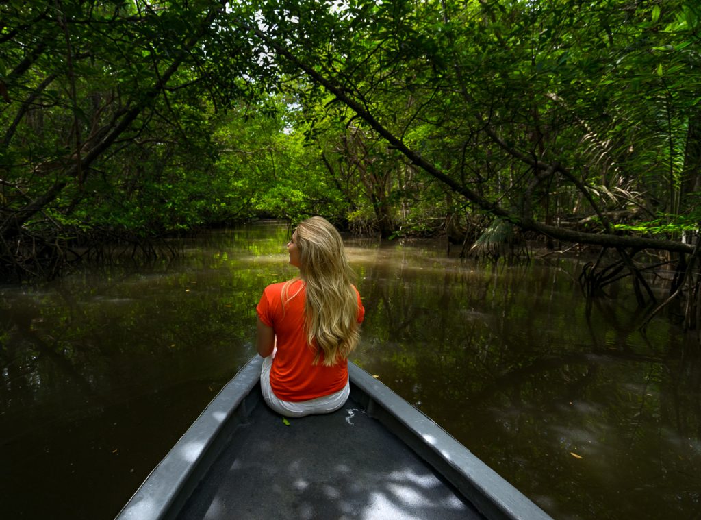 Jelajahi Wisata Hutan Mangrove di Desa Toapaya Selatan Kabupaten Bintan.