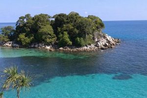 Menyelami Pesona Keindahan Surga Bawah Laut di Eko Wisata Mapur Bintan Provinsi Kepri