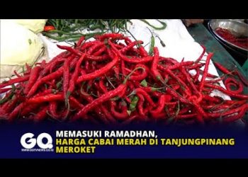 Memasuki Ramadhan, Harga Cabai Merah di Tanjungpinang Meroket