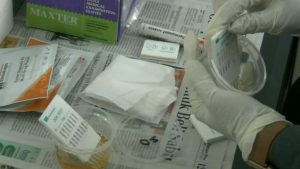 Pemko Tanjungpinang Akan Gelar Tes Urine Dadakan ke Seluruh Pegawainya