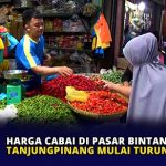 Harga Cabai di Pasar Bintan Center Tanjungpinang Mulai Turun