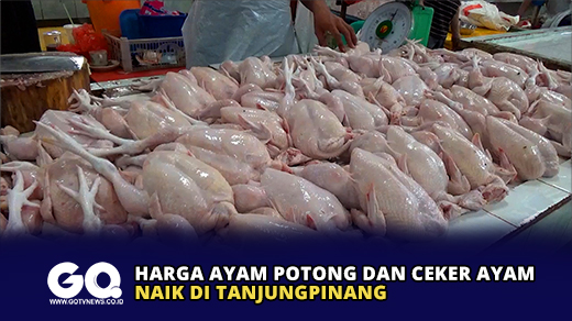 Harga Ayam Potong dan Ceker Ayam Naik di Tanjungpinang