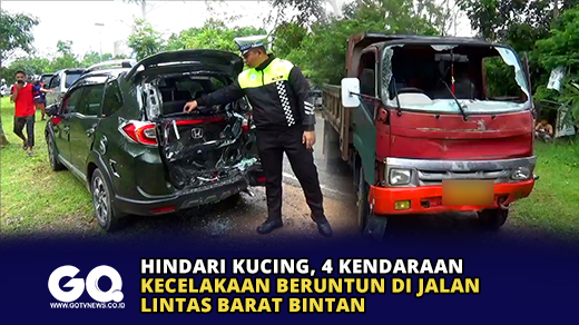 Hindari Kucing, 4 Kendaraan Kecelakaan Beruntun di Jalan Lintas Barat Bintan